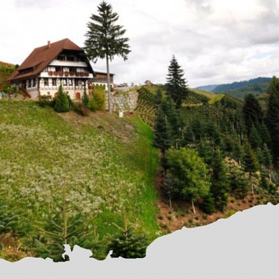 Holdersberg